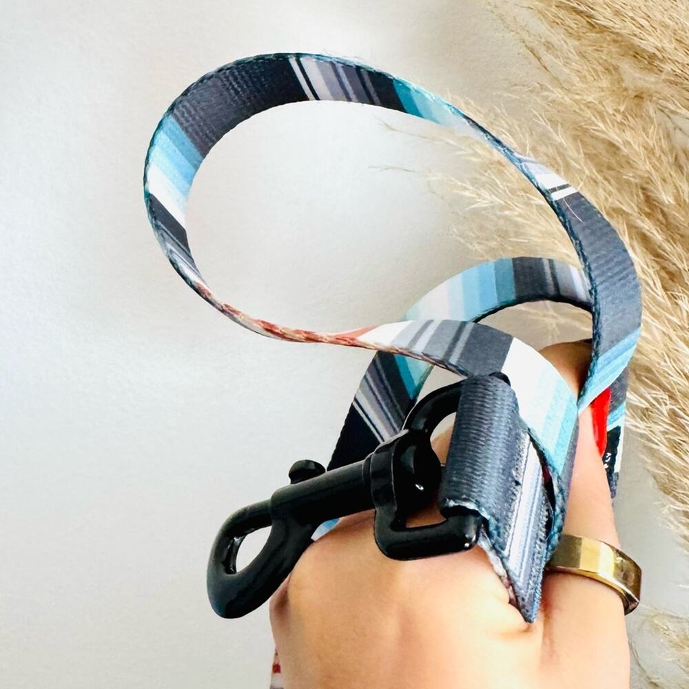 NEW LEEDS Jetty Blue White Orange Stripe Step Harness and 6โ Dog Leash $108 Set - Picture 11 of 11